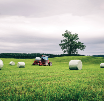 Screenshot 2024-01-22 021438